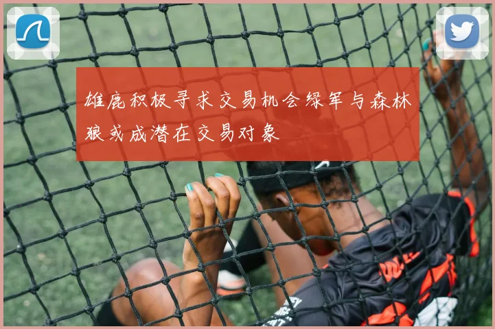 雄鹿积极寻求交易机会绿军与森林狼或成潜在交易对象